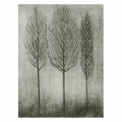"Nous les arbres 2"