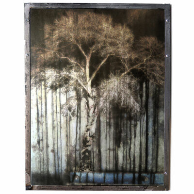 "Treetanium 2"