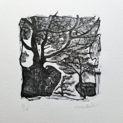 "Arborescens"
