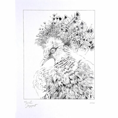"P: Oiseau de paradis"