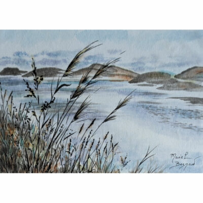 "P: Paysage de Brière II"