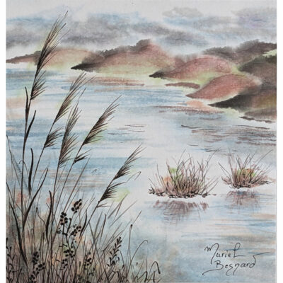 "P: Paysage de Brière III"