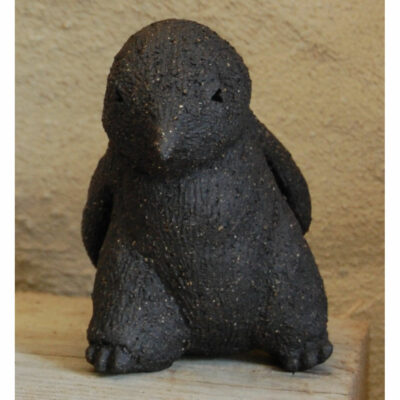 "Bébé manchot"