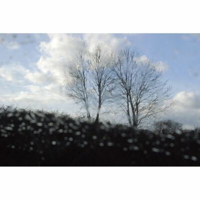"Flux et Reflux 1: Arbre derrière la vitre, Port Launay"