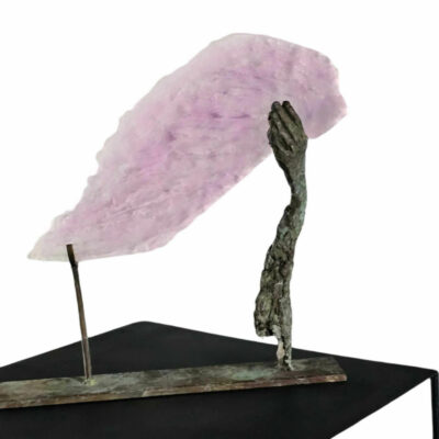 S: "Aile d'ange"