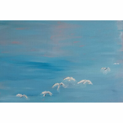 "Mouettes ciel clair"