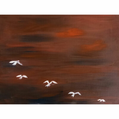 "Mouettes ciel rouge"