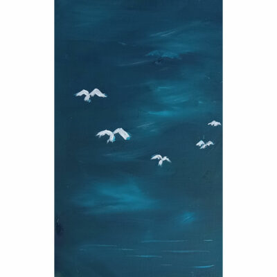 "Mouettes ciel sombre bleu"