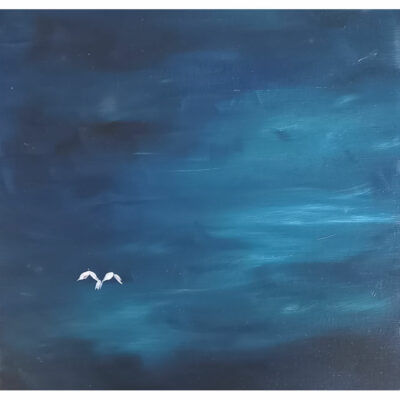 "Une mouette ciel sombre bleu"
