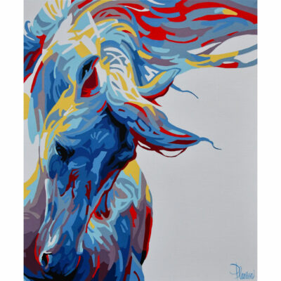 "Chevaux: Hair in the wind"