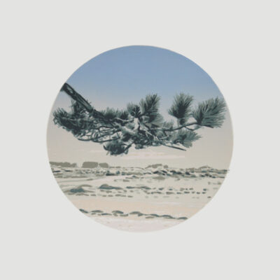 «Marée basse 1 n°9/20"