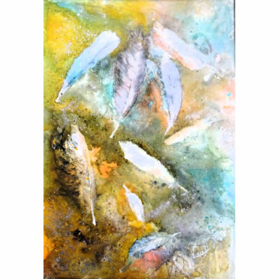 "Plumes abandonnées"