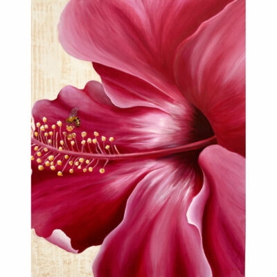"F: Symbiose fuchsia"