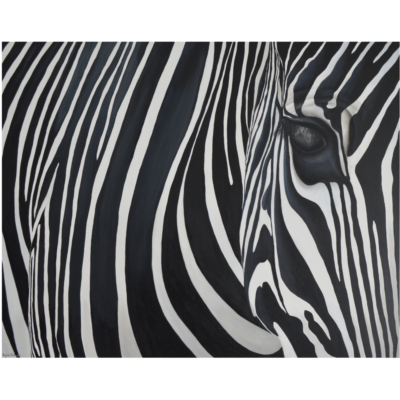 "A: Zebra Africa noir et blanc"