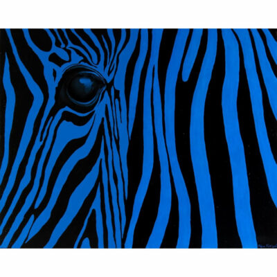 "A: Zebra Africa bleu"