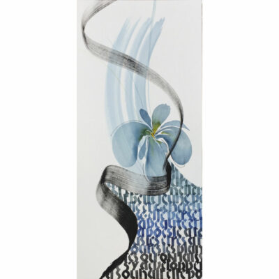 "Iris 2"