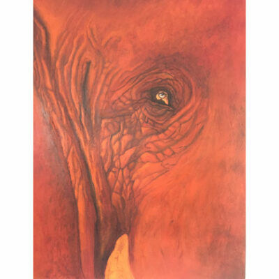 "A: Savane en feu"