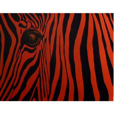 "A: Zebra Africa orange"