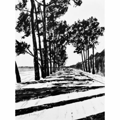 "Noir intense: Avenue du Cap Coz 2"