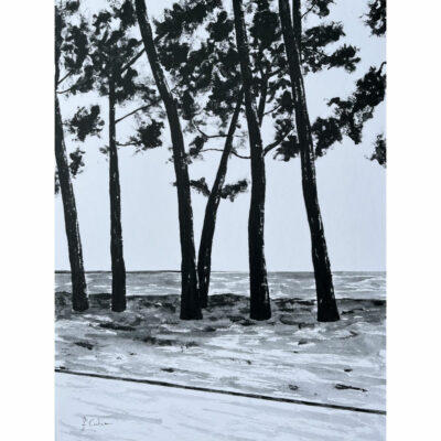 "Noir intense: Avenue du Cap Coz 1"