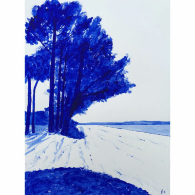 "Bleu outremer #5: Cap Coz"