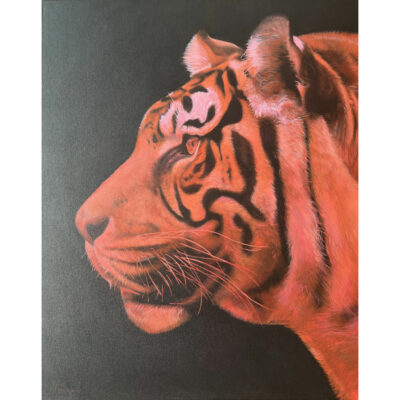 "Tigre rouge"