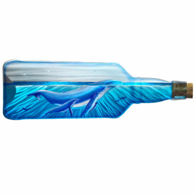 "Baleines embouteillées"