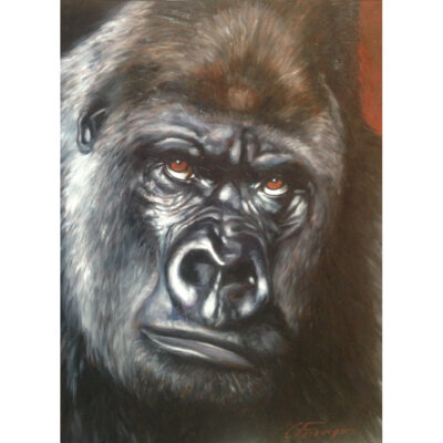 "P: Le gorille"