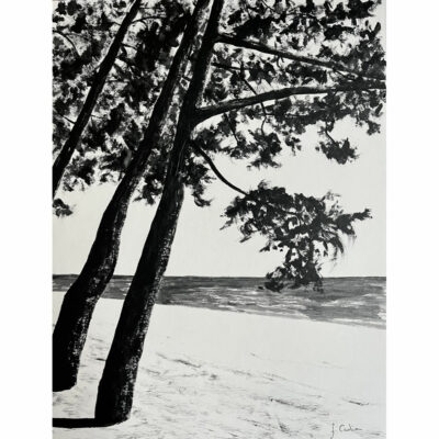 "Noir intense: Plage du Cap Coz"