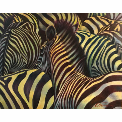 "P: Les petits zèbres"