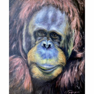 "P: L’orang-outan"