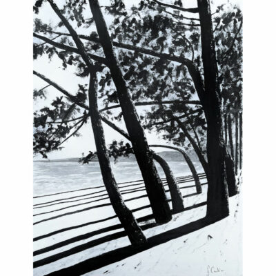 "Noir intense: 19h15 au Cap Coz"