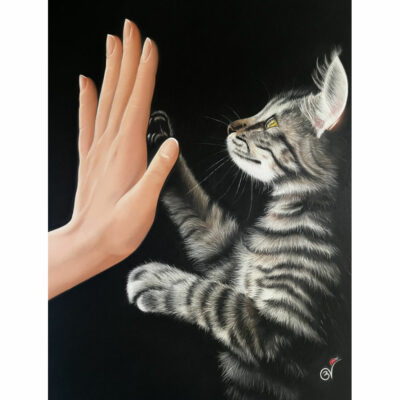 "A: Le pacte des âme"