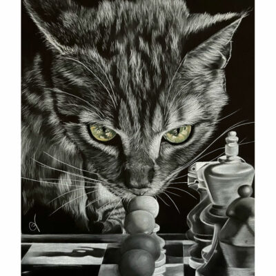 "A: Echec et pattes"