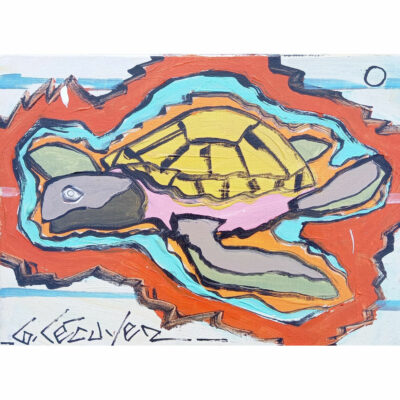 "Tortue de mer 1"