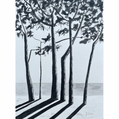 "Encre de Chine: Avenue du Cap Coz 2"