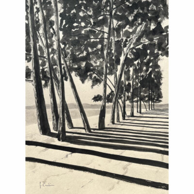 "Encre de Chine: Avenue du Cap Coz 3"