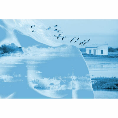 "Camargue"