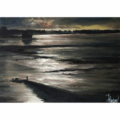 "Paysages: Moonlight shadow"