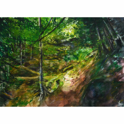 "La forêt des Pyrénées"