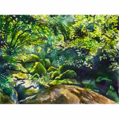 "La Forêt magique de Huelgoat"