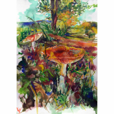 "Les deux champignons"