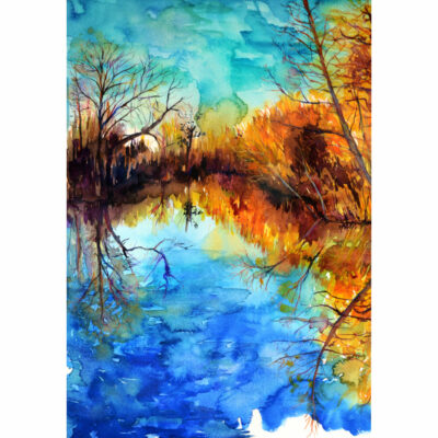 "Les reflets de la Gacilly"