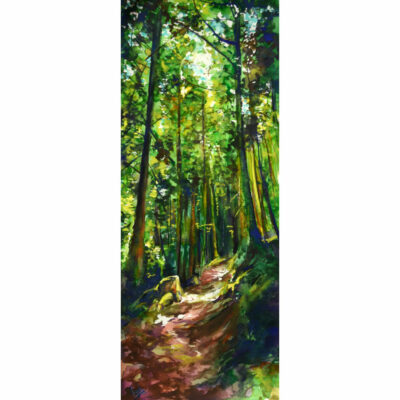 "La forêt éclairée des Pyrénées"