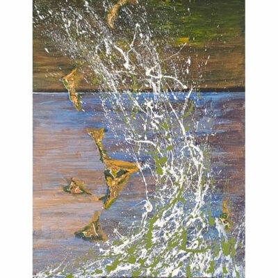 "Coque verte et bleue"