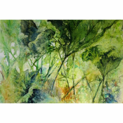 "Les gunneras du Stangalard"