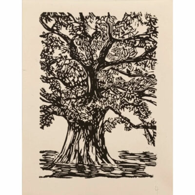 "Le grand chêne"