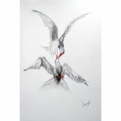 "Le baiser des sternes"