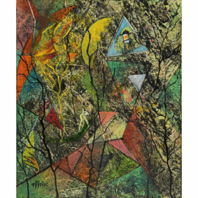 "Lumière sur la forêt"