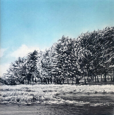 "Noir & bleu Bilhervé"